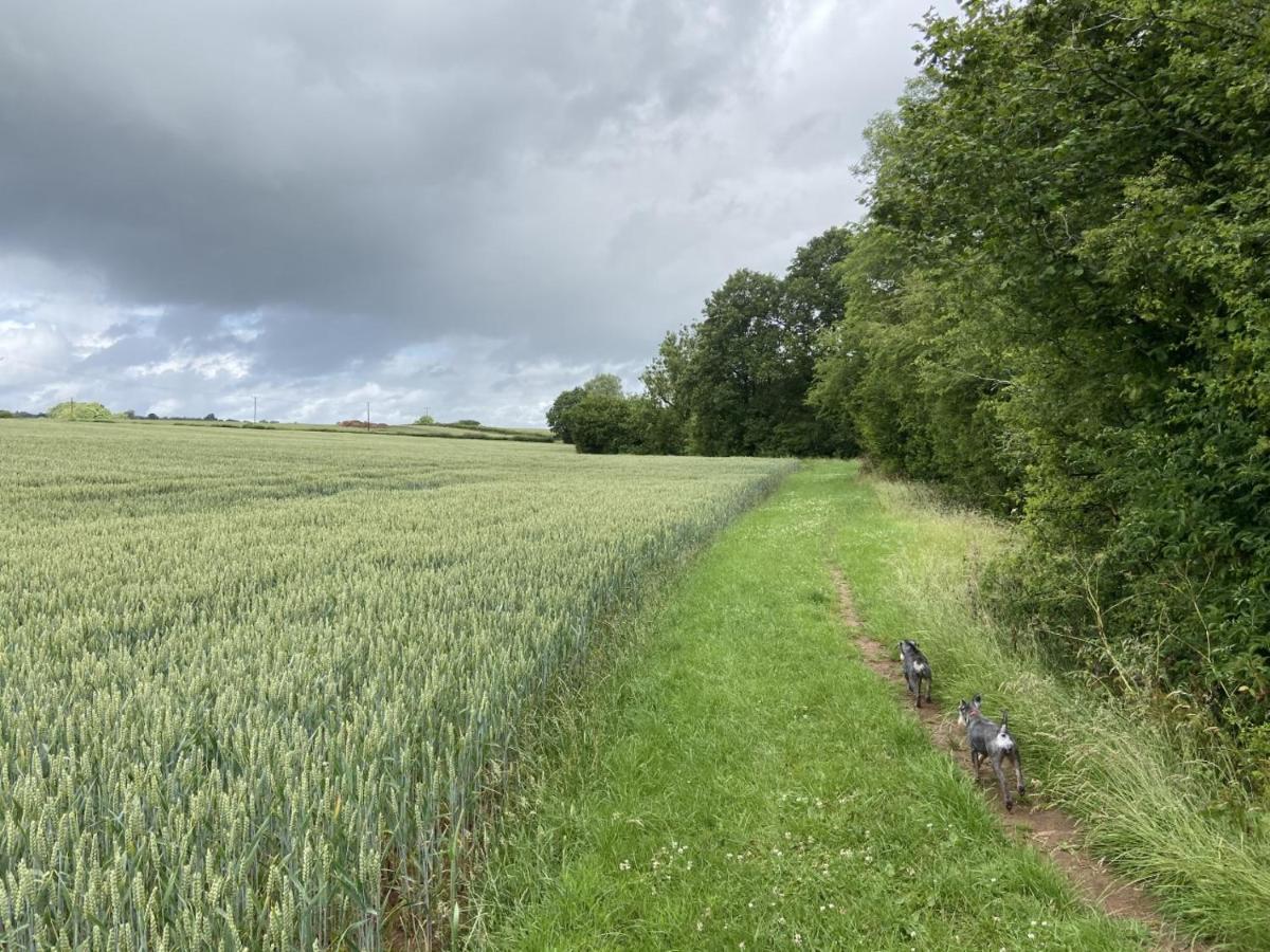 The Chaff House - Farm Stay Apartment Set Within 135 Acres Bromyard Exterior foto