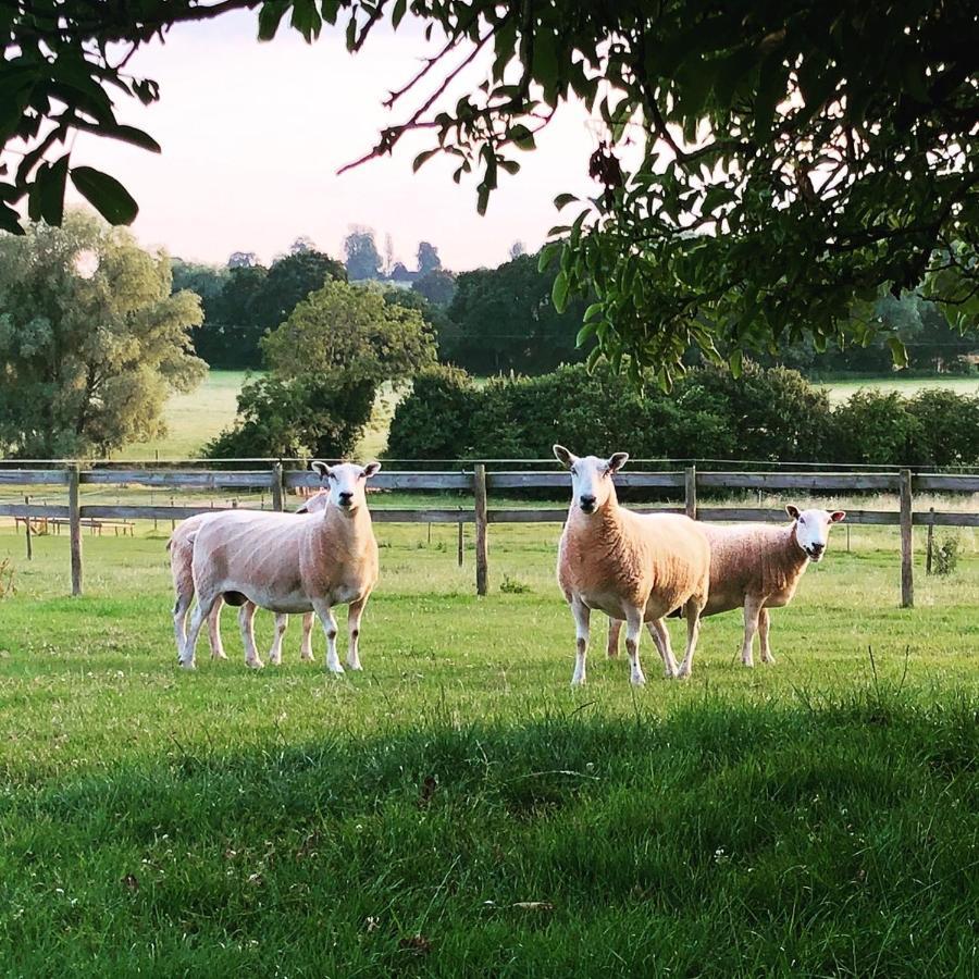 The Chaff House - Farm Stay Apartment Set Within 135 Acres Bromyard Exterior foto